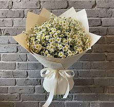 Букет цветов из:  Ромашки #REPLACE_PRED# Вознесеновке