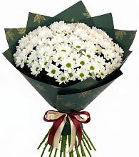 Букет цветов из:  Хризантемы в Вознесеновке