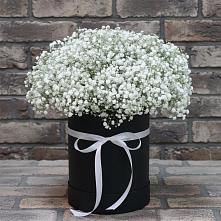 Цветочная композиция из Гипсофила в шляпной коробке в Вознесеновке
