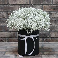Цветочная композиция из Гипсофила в шляпной коробке в Вознесеновке